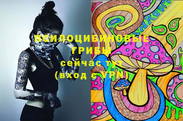 прущий лед Нефтекумск