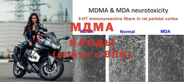 ГАЛЛЮЦИНОГЕННЫЕ ГРИБЫ Надым