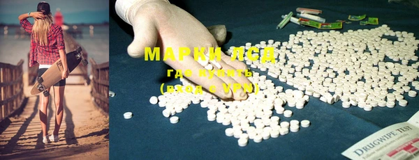 ГАЛЛЮЦИНОГЕННЫЕ ГРИБЫ Надым