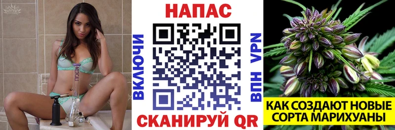 даркнет какой сайт  Грозный  Канабис MAZAR 